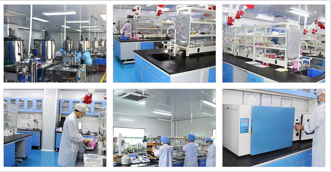 Caizi manufactuer factory