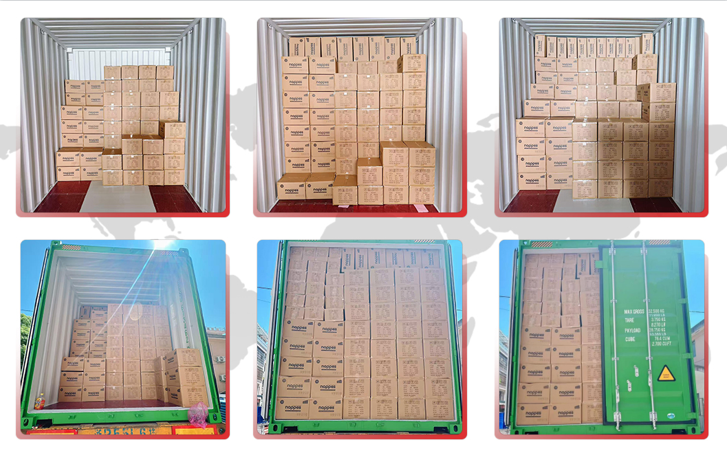 Caizi cosmetics shipping and loading containter