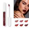 Luquid Matte Lipgloss for Makeup Arts with Long-Lasting Color Development
